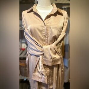 Blue Blush Shirt Dress- Button Down- Size Large- Shimmery Taupe Color- NWT